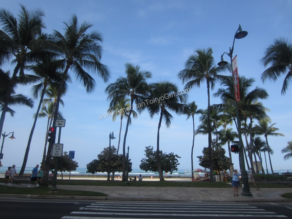 IMG_9075 (Oahu-Hawaii)