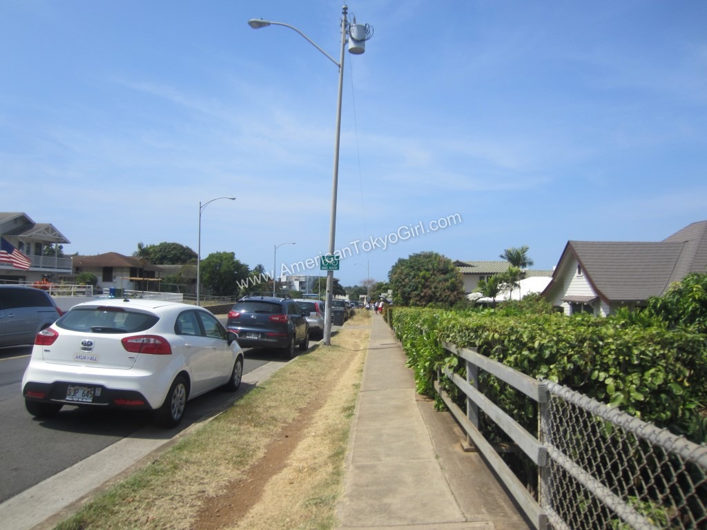 IMG_9165 (Oahu-Hawaii)