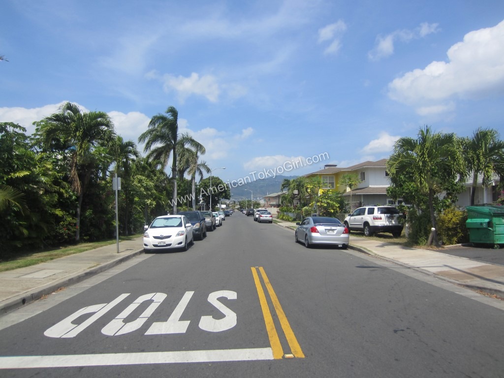 IMG_9172 (Oahu-Hawaii)