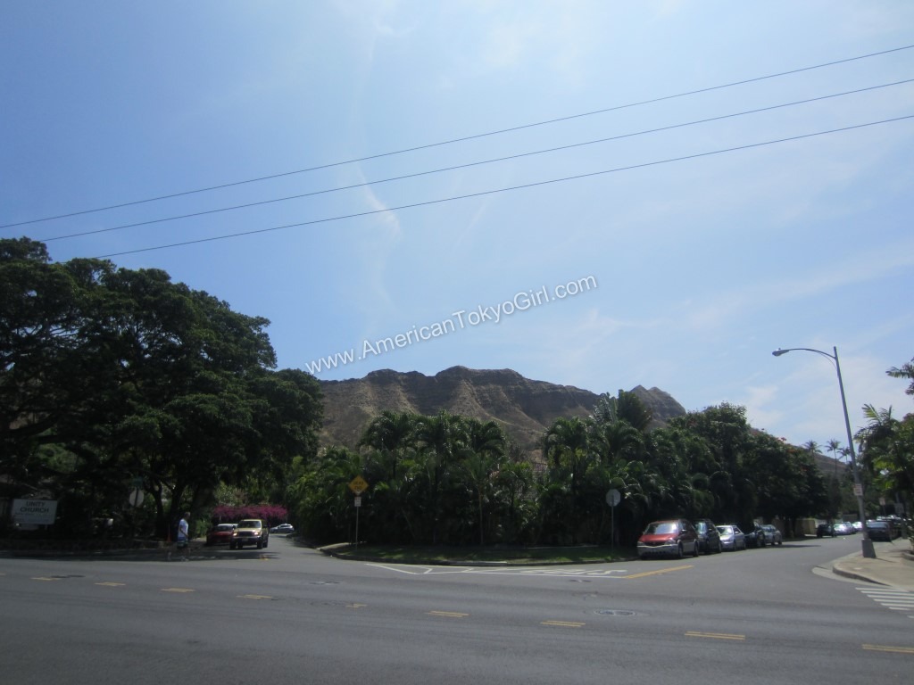 IMG_9173 (Oahu-Hawaii)