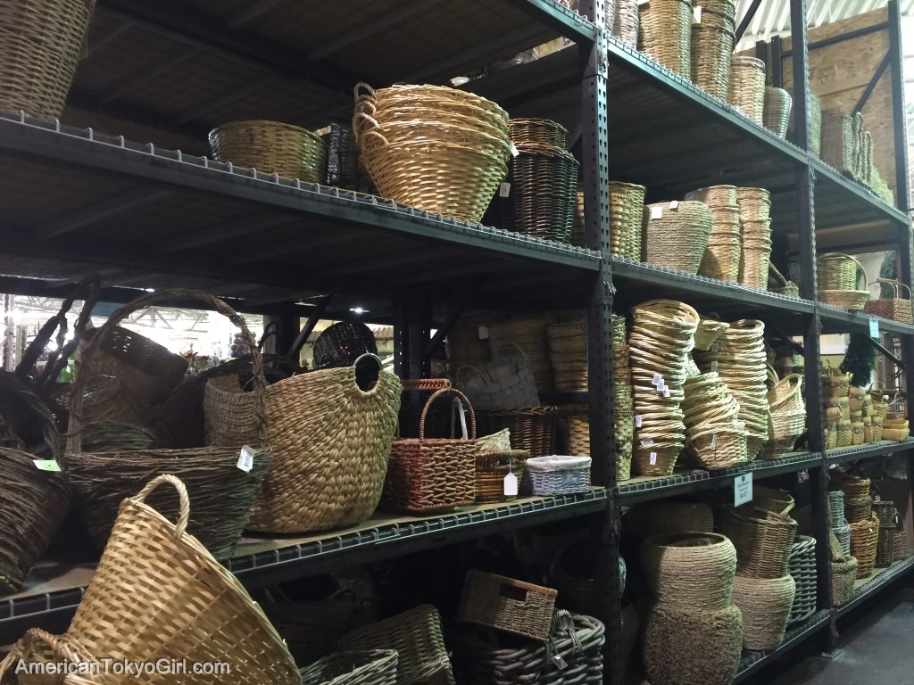  Tai Pan Trading / 雑貨屋 15 (Utah)