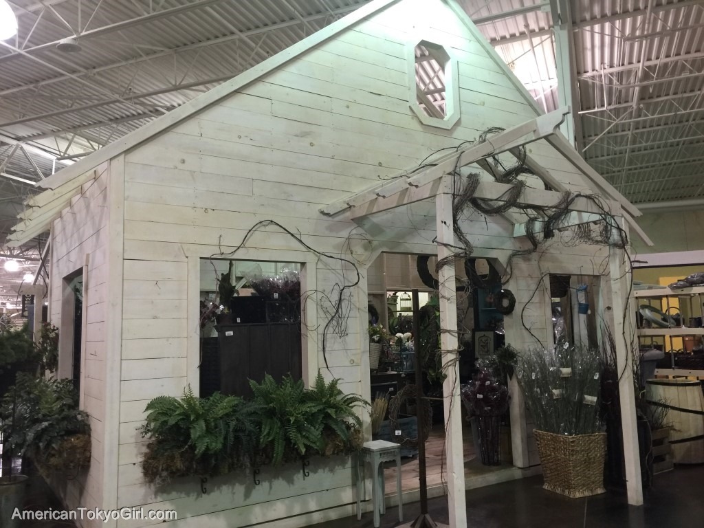  Tai Pan Trading / 雑貨屋 16 (Utah)