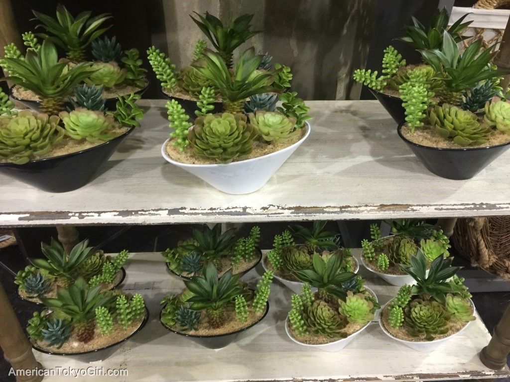 Tai Pan Trading / 雑貨屋 22 (Utah)