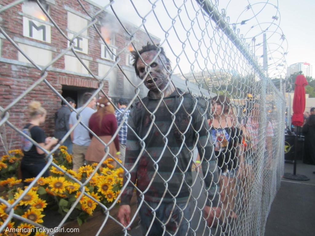 ユニバーサルスタジオハロウィン-ゾンビ