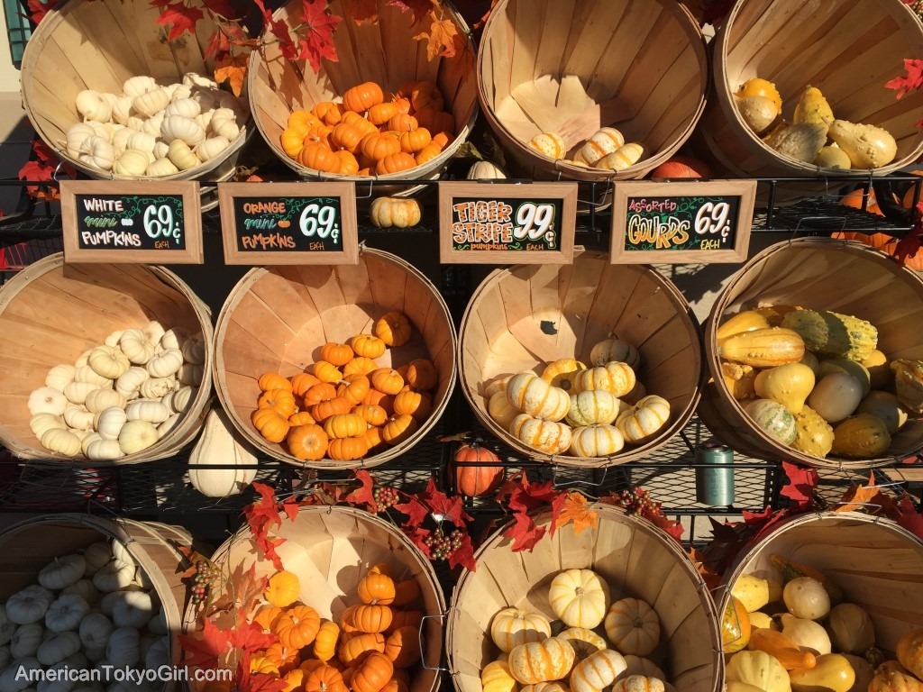 trader joe's-トレーダージョーズ-外のかぼちゃディスプレイ