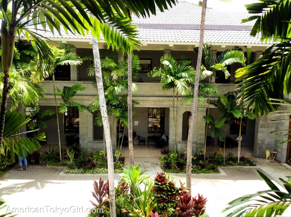 図書館-アメリカ大学-留学