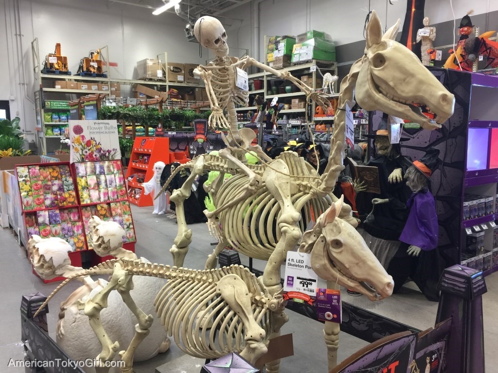 アメリカ-スーパー-アメリカでしか買えない-お土産