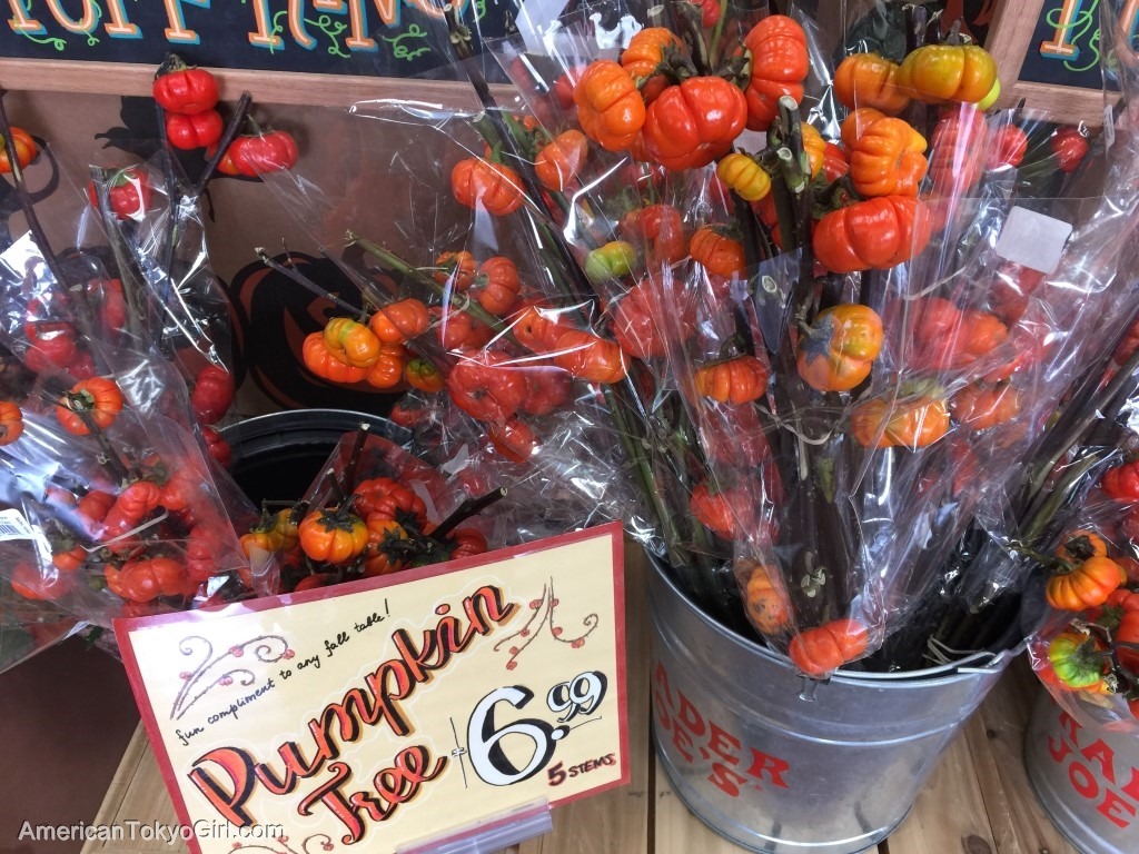 アメリカ-スーパー-アメリカでしか買えない-お土産