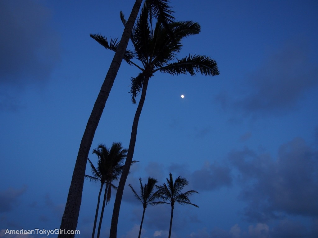 ハワイ-おすすめ-ディナー-レストラン