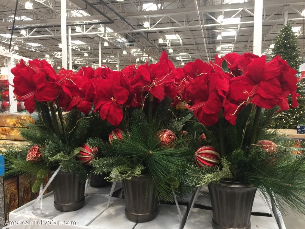 コストコクリスマスにしか買えない商品