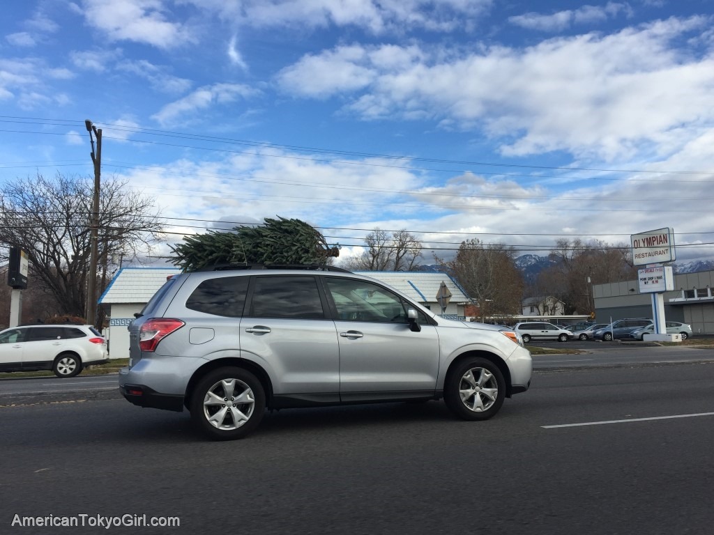 アメリカでクリスマスツリー-生木-作りもの