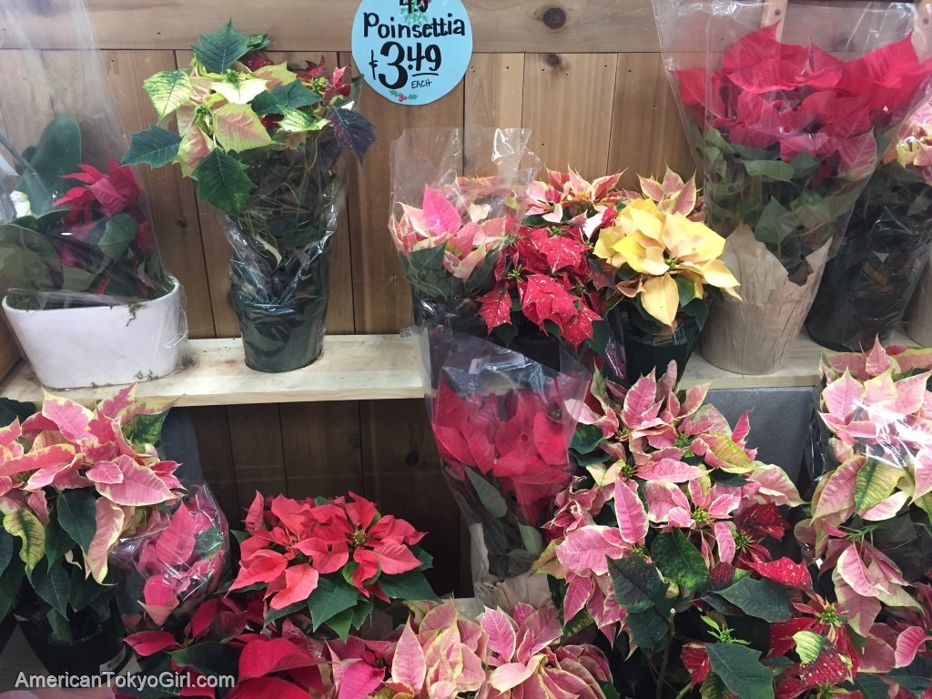 traderjoes-トレーダージョーズお菓子-クリスマス限定