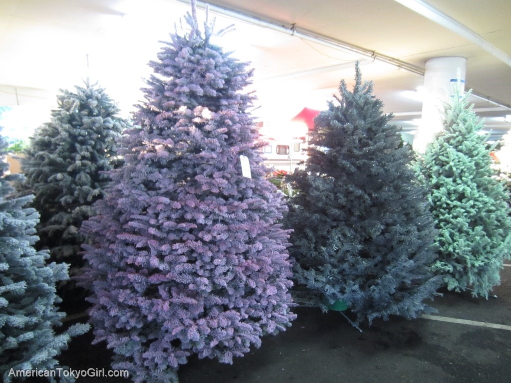 アメリカでクリスマスツリー-生木-作りもの