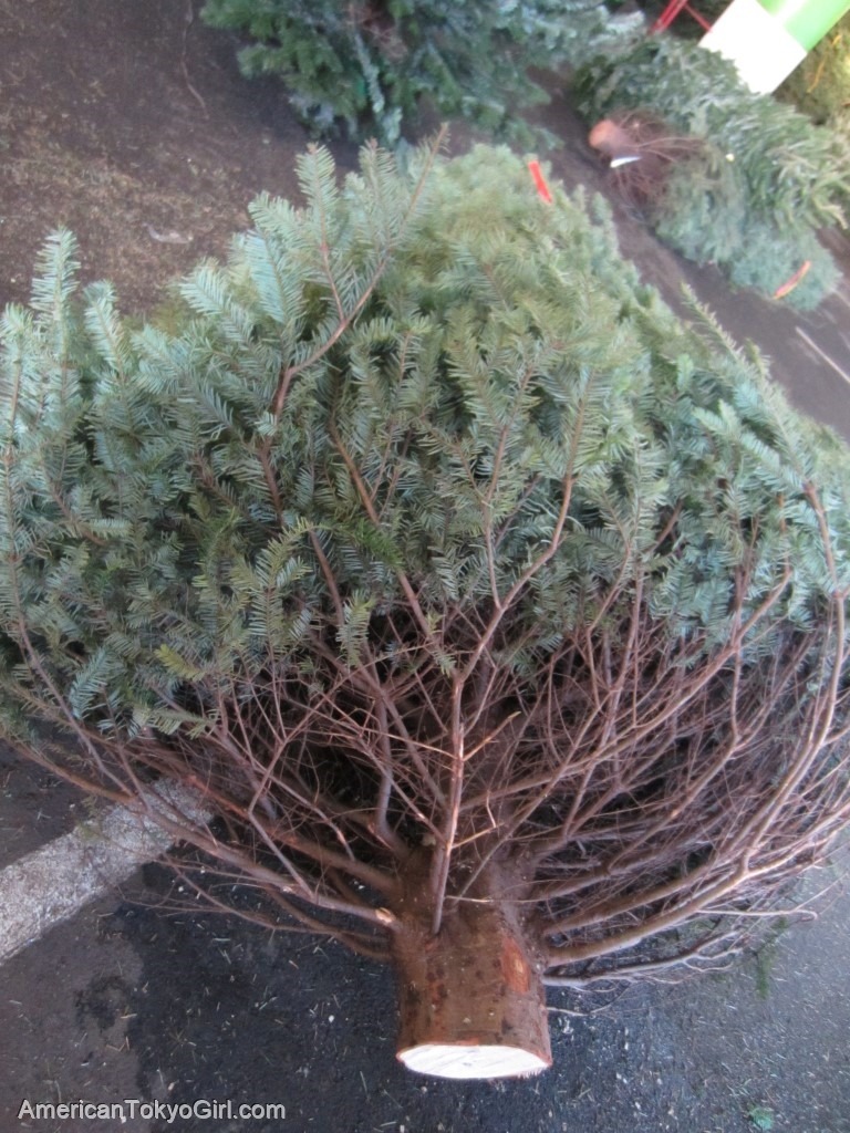 アメリカでクリスマスツリー-生木-作りもの