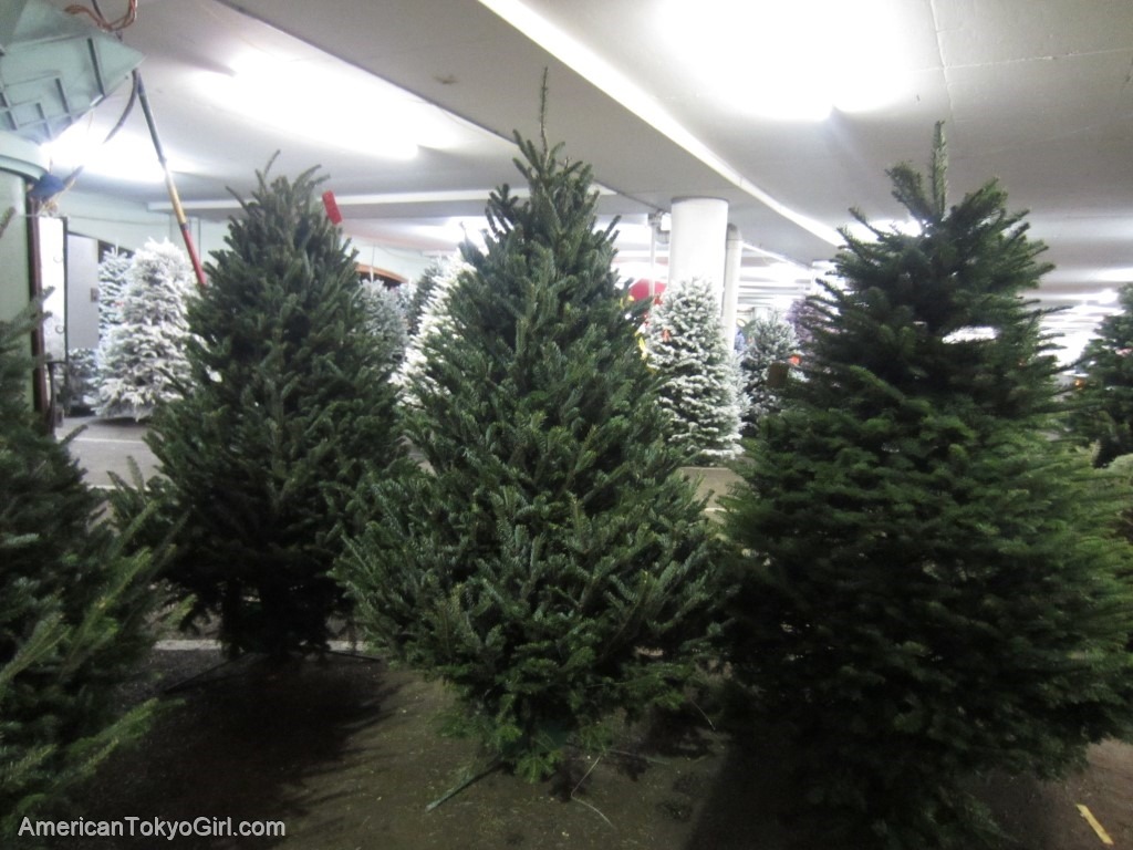 アメリカでクリスマスツリーどっち買う 生木 もみの木 Vs作りもの American Tokyo Girl