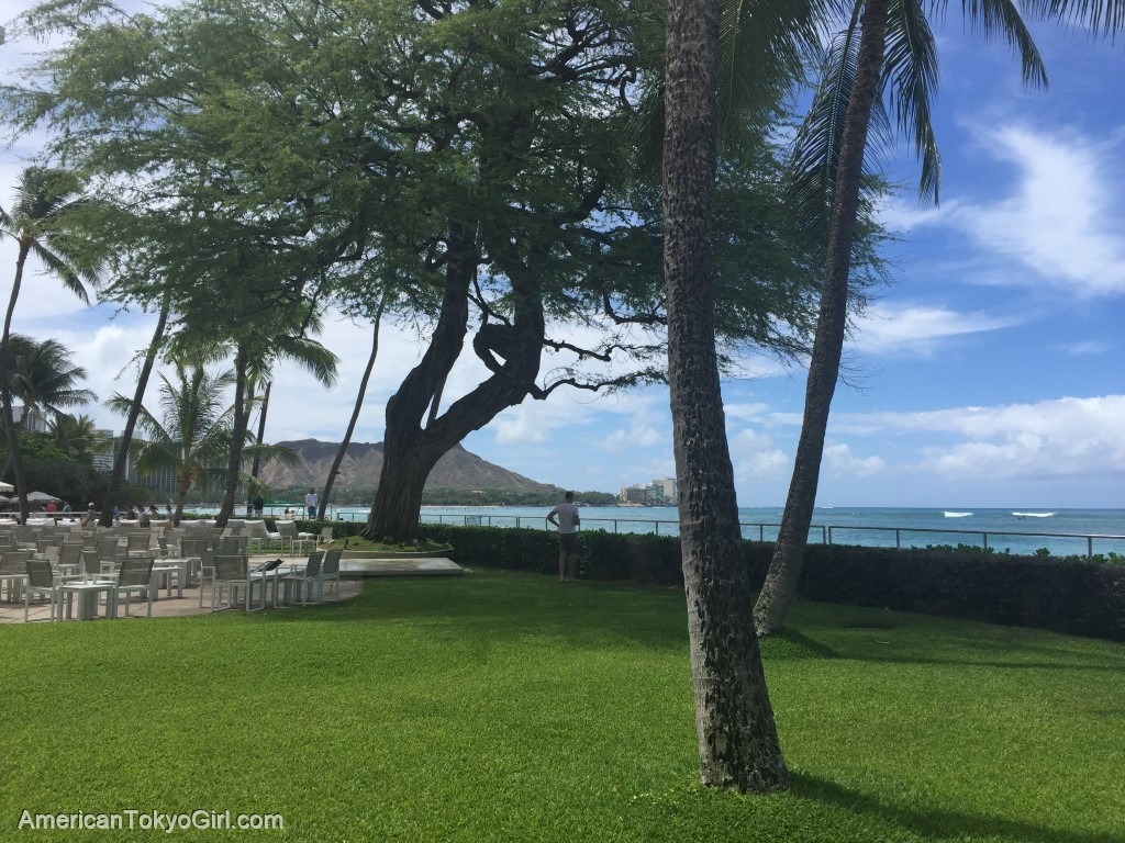 ハワイランチおすすめワイキキ-ハワイロコ人気店-ハレクラニビュッフェ