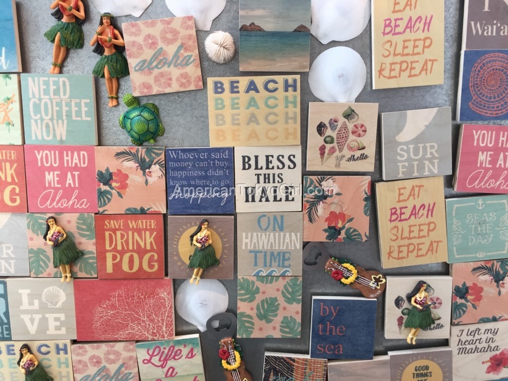 kamakanaalii-カマカナアリイ-店舗-おすすめ-お土産-雑貨-ソーハ-soha-マグネット