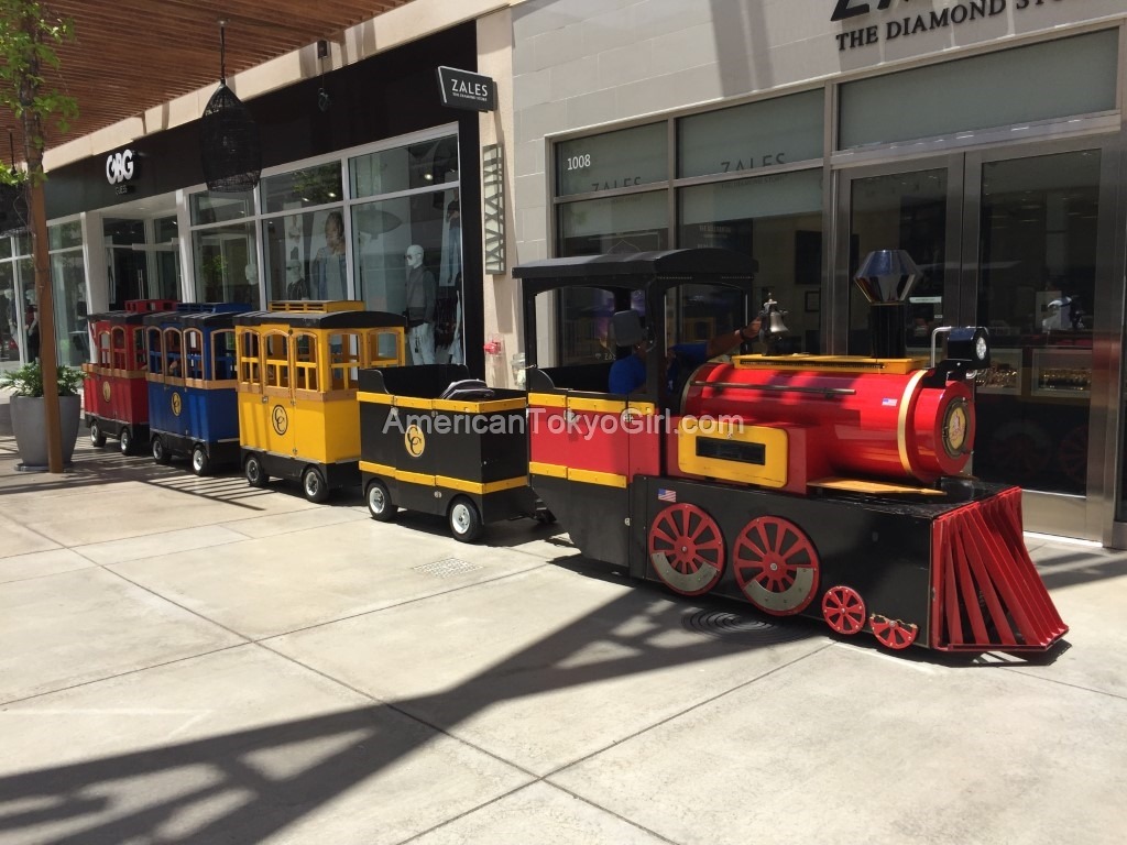 kamakanaalii-カマカナアリイ-ショップ-おすすめ-列車