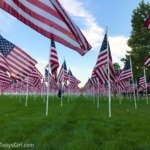 サイバーマンデー-ブラックフライデー-違い-アメリカ国旗